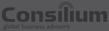 Consilium Global Business Advisors