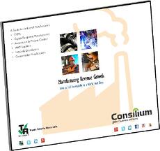 ebook manufacturing revenue growth