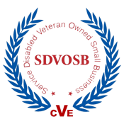 Consilium global Business Advisors is an SDVOSB.png
